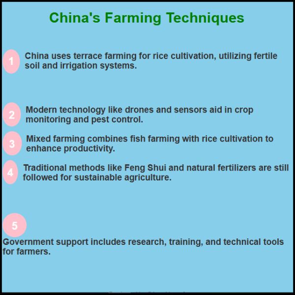 चीन का खेती करने का तरीका क्या है ? जानें खास बातें :

