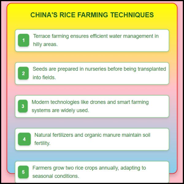 चीन में धान की खेती कैसे होती है | चाइना की फार्मिंग टेक्नोलॉजी :
