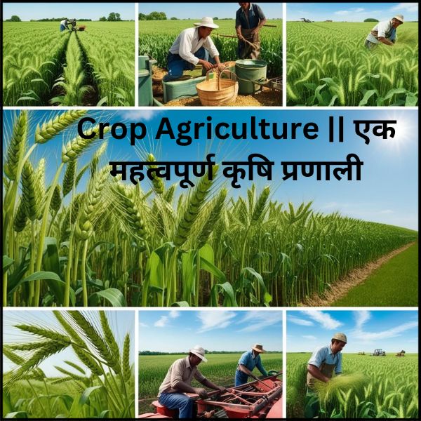 Crop Agriculture || एक महत्वपूर्ण कृषि प्रणाली