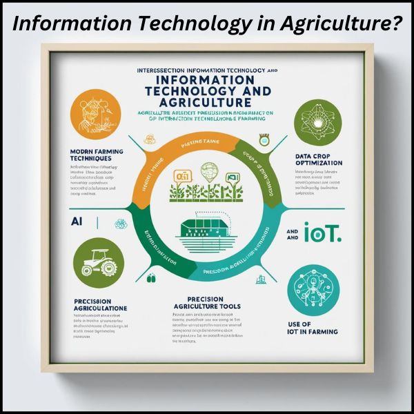 Information Technology in Agriculture?