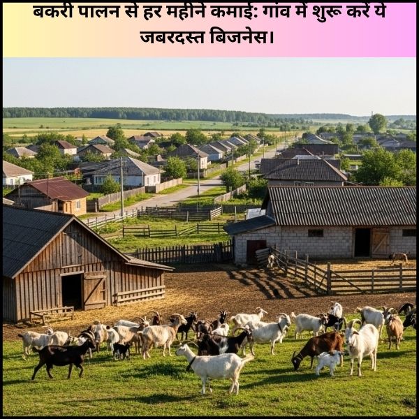 बकरी पालन से हर महीने कमाई: गांव में शुरू करें ये जबरदस्त बिजनेस। बकरी पालन से हर महीने कमाई: गांव में शुरू करें ये जबरदस्त बिजनेस।