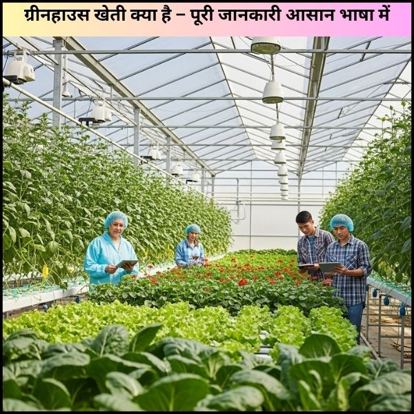 ग्रीनहाउस खेती क्या है – पूरी जानकारी आसान भाषा में