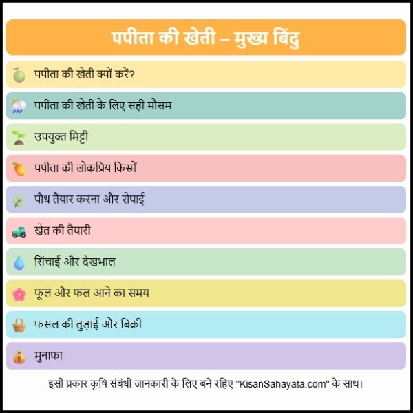 पपीता की खेती की पूरी जानकारी – किसानों के लिए फायदेमंद खेती की पूरी गाइड। पपीता की खेती की पूरी जानकारी – किसानों के लिए फायदेमंद खेती की पूरी गाइड।