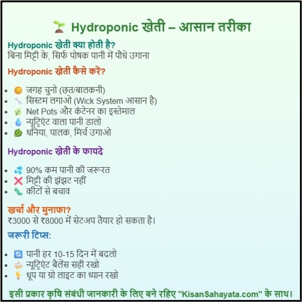 AddHydroponic खेती कैसे करें – बिना मिट्टी के खेती करने का आसान तरीका। a subheading (53) Hydroponic खेती कैसे करें – बिना मिट्टी के खेती करने का आसान तरीका।