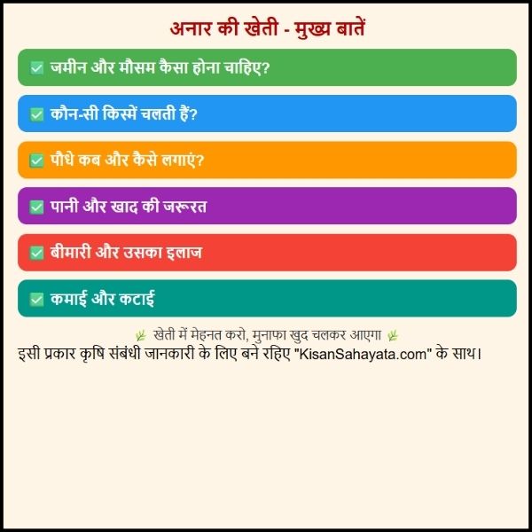 अनार की खेती कैसे की जाती है?-जानिए आसान भाषा मे । अनार की खेती कैसे की जाती है?-जानिए आसान भाषा मे ।