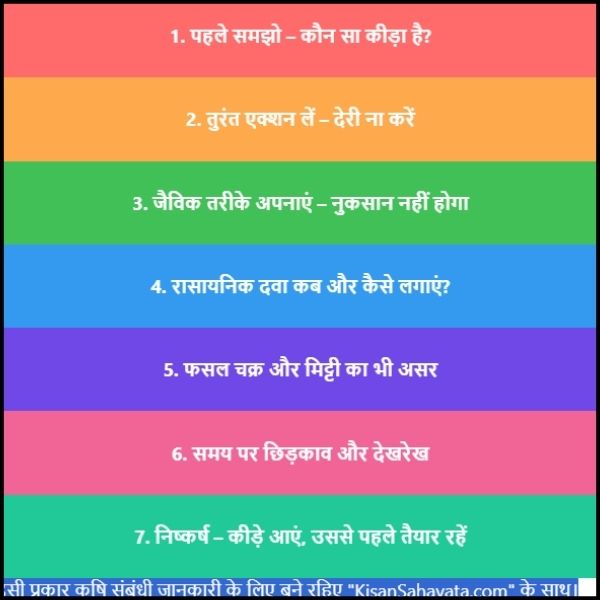 फसल में कीड़ा लगने पर क्या करें: आसान भाषा में समझो। 