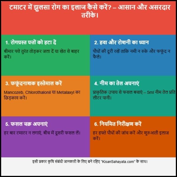 टमाटर में झुलसा रोग कैसे ठीक करें : आसान भाषा में पूरी जानकारी। टमाटर में झुलसा रोग कैसे ठीक करें : आसान भाषा में पूरी जानकारी।