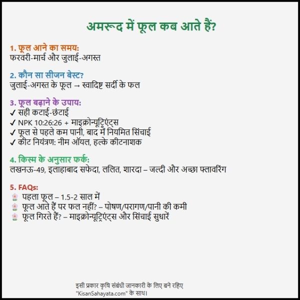 अमरूद में फूल कब आते हैं?: एकदम आसान और सीधी बात। अमरूद में फूल कब आते हैं?: एकदम आसान और सीधी बात।