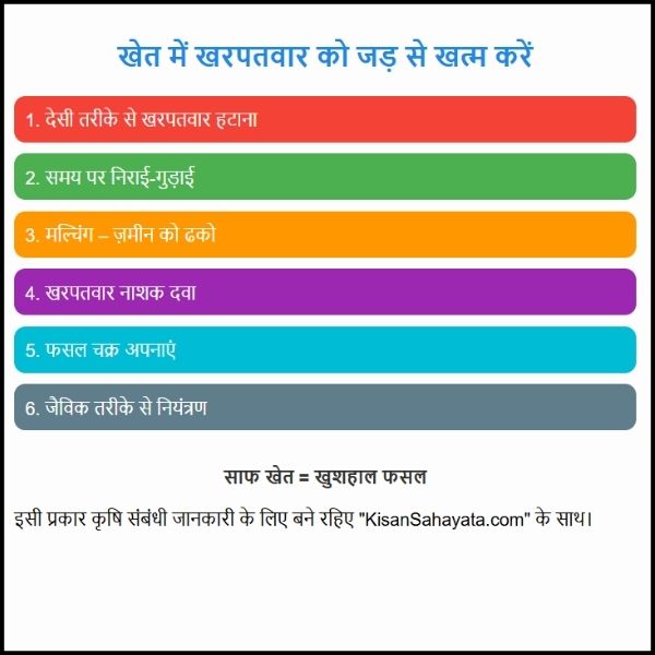 खेत में खरपतवार को जड़ से खत्म करें – असरदार और देसी तरीके (1) खेत में खरपतवार को जड़ से खत्म करें – असरदार और देसी तरीके।