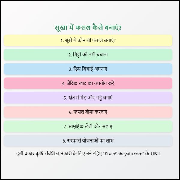 सूखा आने पर फसल कैसे बचाएं? आसान भाषा में पूरी जानकारी। सूखा आने पर फसल कैसे बचाएं? आसान भाषा में पूरी जानकारी।