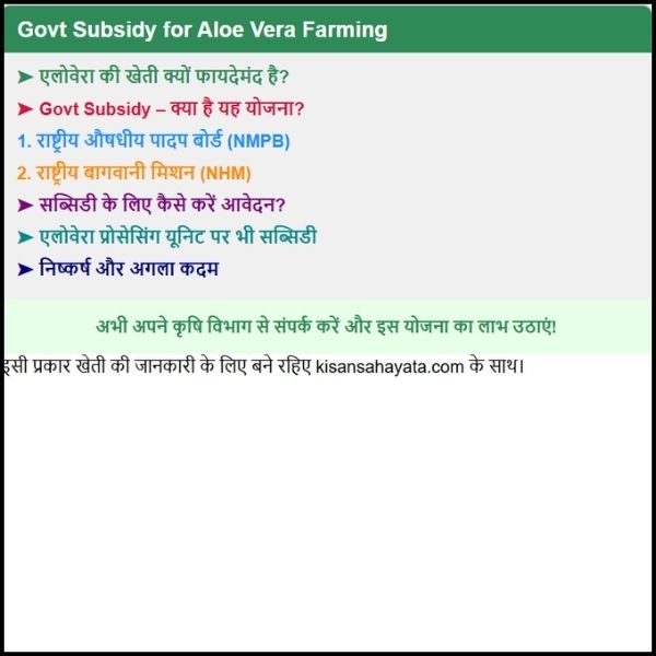 Govt Subsidy for Aloe Vera Farming – जानिए सरकार की तरफ से मिलने वाली मदद पूरी जानकारी के साथ। Govt Subsidy for Aloe Vera Farming – जानिए सरकार की तरफ से मिलने वाली मदद पूरी जानकारी के साथ।