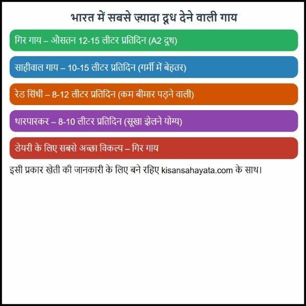 भारत में सबसे ज़्यादा दूध देने वाली गाय कौन सी है? – जानिए | highest milk producing cow breed in India?