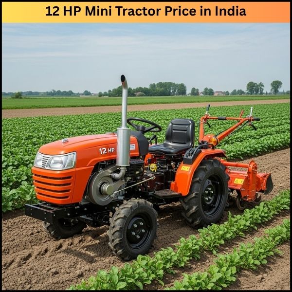 12 HP Mini Tractor Price in India छोटे फार्म के बड़े हीरो की पूरी जानकारी 12 HP Mini Tractor Price in India छोटे फार्म के बड़े हीरो की पूरी जानकारी