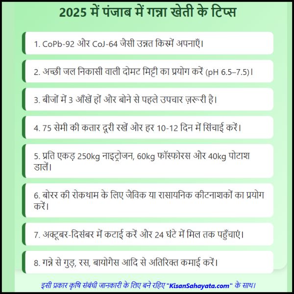 2025 में पंजाब में गन्ना की खेती के टिप्स | जानिए पूरी जानकारी