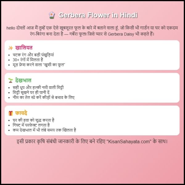 Gerbera Flower in Hindi– गर्बेरा फूल: रंग-बिरंगी खुशियों की कहानी। Gerbera Flower in Hindi– गर्बेरा फूल: रंग-बिरंगी खुशियों की कहानी।