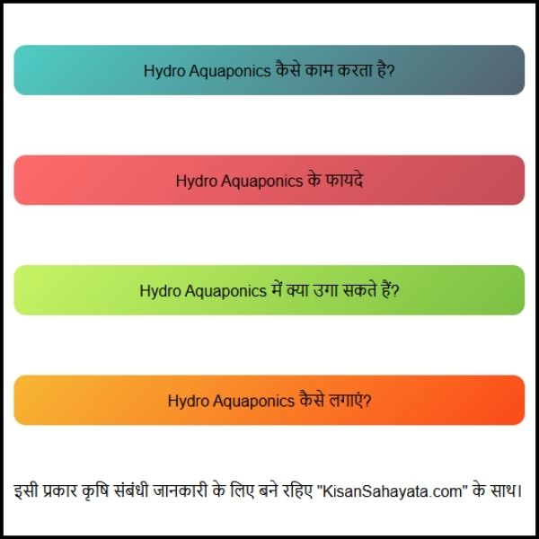 Hydro Aquaponics: पानी से खेती और मछली पालन का कमाल का तरीका?