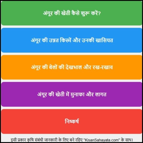 अंगूर की खेती स्वाद, मुनाफा और मेहनत का सही मेल