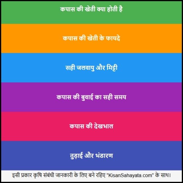 कपास की खेती जानिए सफेद सोना उगाने का सही तरीका 2 कपास की खेती जानिए सफेद सोना उगाने का सही तरीका