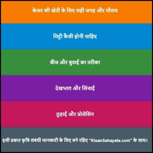 केसर की खेती कम जमीन में ज्यादा मुनाफे वाला व्यवसाय 2 केसर की खेती: कम जमीन में ज्यादा मुनाफे वाला व्यवसाय?