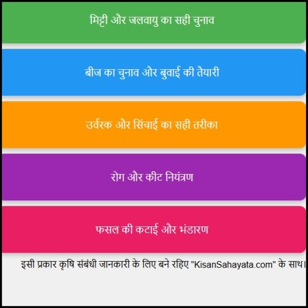 चना की खेती कम लागत में ज्यादा मुनाफा पाने का तरीका 2 चना की खेती: कम लागत में ज्यादा मुनाफा पाने का तरीका