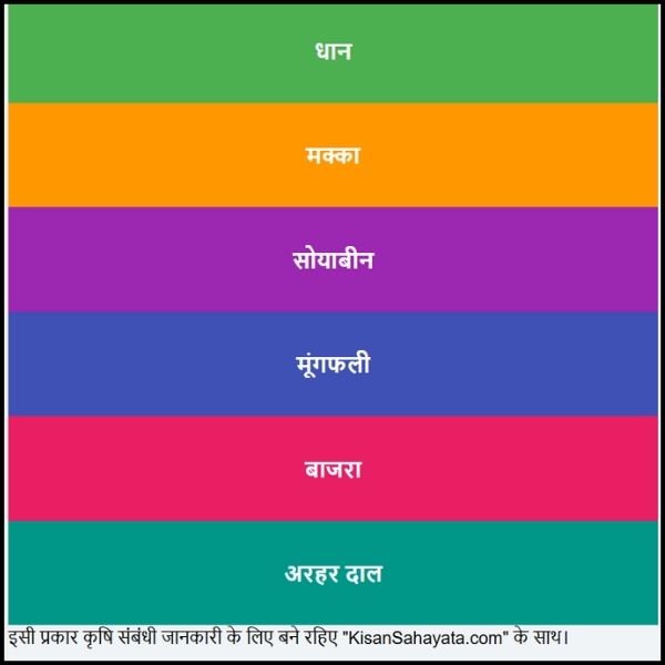 बारिश में ज्यादा मुनाफा देने वाली फसलें किसान भाई ध्यान दें। बारिश में ज्यादा मुनाफा देने वाली फसलें किसान भाई ध्यान दें।
