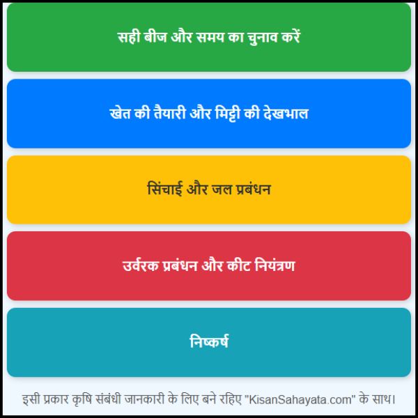मक्का की पैदावार कैसे बढ़ाएं आसान भाषा में पूरी जानकारी। मक्का की पैदावार कैसे बढ़ाएं आसान भाषा में पूरी जानकारी।