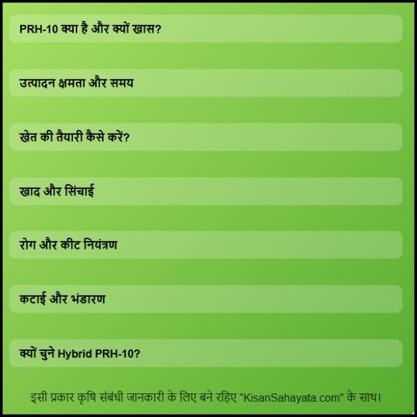 संकर धान PRH-10 (Hybrid PRH-10) कम लागत में ज्यादा मुनाफा। (1) संकर धान PRH-10 (Hybrid PRH-10): कम लागत में ज्यादा मुनाफा।