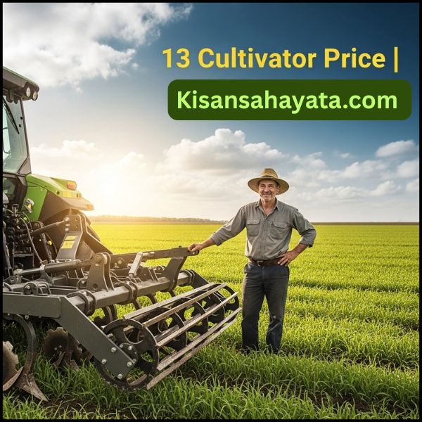 भारत में 13 tine cultivator की कीमत आम तौर पर ₹45,000 से ₹75,000 तक होती है। 