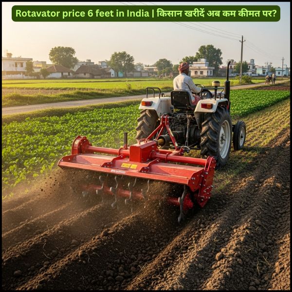 Rotavator price 6 feet in India