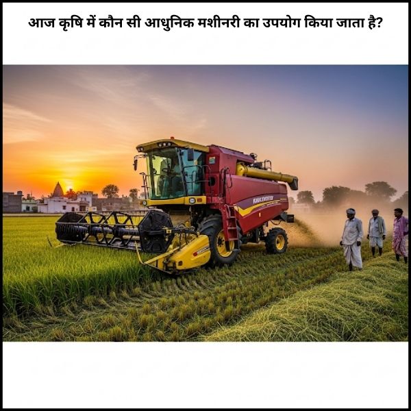 आज कृषि में कौन सी आधुनिक मशीनरी का उपयोग किया जाता है? Q1. खेती में आधुनिक मशीनरी क्यों ज़रूरी है? खेती में आधुनिक मशीनरी का उपयोग इसलिए ज़रूरी है क्योंकि यह समय और श्रम की बचत करती है, लागत घटाती है और पैदावार बढ़ाती है। मशीनों से खेती अधिक वैज्ञानिक और सटीक हो जाती है। Q2. भारत में सबसे ज़्यादा कौन-कौन सी कृषि मशीनरी का उपयोग होता है? भारत में सबसे ज़्यादा उपयोग होने वाली मशीनरी हैं – ट्रैक्टर, हार्वेस्टर, थ्रेशर, सीड ड्रिल, स्प्रे मशीन, ड्रिप इरिगेशन सिस्टम और ड्रोन। Q3. आधुनिक हार्वेस्टर से क्या फायदा होता है? हार्वेस्टर से फसल की कटाई, मड़ाई और सफाई एक साथ होती है। इससे समय और श्रम दोनों की बचत होती है और किसान जल्दी कमाई कर पाते हैं। Q4. क्या छोटे किसानों के लिए भी आधुनिक कृषि मशीनरी उपलब्ध है? हाँ, छोटे किसानों के लिए मिनी ट्रैक्टर, छोटे थ्रेशर और पोर्टेबल स्प्रे मशीनें उपलब्ध हैं, जिन्हें कम लागत में खरीदा जा सकता है। Q5. क्या ड्रोन तकनीक खेती में उपयोगी है? जी हाँ, ड्रोन तकनीक खेती में बहुत उपयोगी है। इससे बड़े खेतों में दवाइयाँ और उर्वरक मिनटों में छिड़के जा सकते हैं और फसल की निगरानी भी की जा सकती है। Q6. आधुनिक मशीनरी से किसानों की आय कैसे बढ़ती है? आधुनिक उपकरणों से कम समय और कम लागत में ज्यादा पैदावार होती है। जब उत्पादन बढ़ता है और लागत घटती है तो स्वाभाविक रूप से किसानों की आय भी बढ़ती है। Q7. क्या आधुनिक मशीनरी से पानी और खाद की बचत होती है? हाँ, ड्रिप इरिगेशन और सेंसर आधारित तकनीक से पानी और खाद दोनों की काफी बचत होती है। इससे फसल को सटीक मात्रा में पोषण और नमी मिलती है।