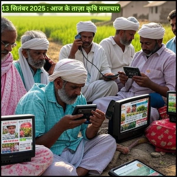 13 सितंबर 2025 : आज के ताज़ा कृषि समाचार