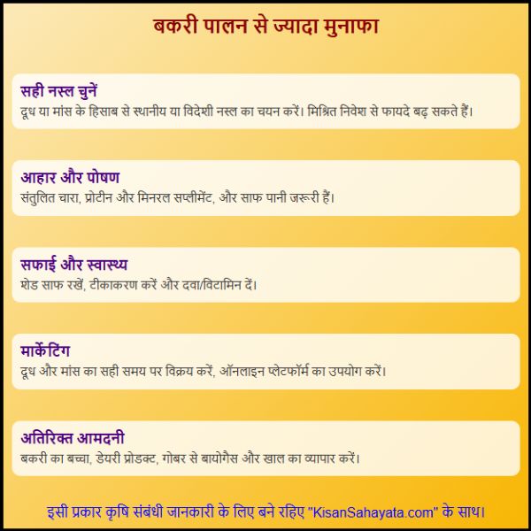 Agriculture Goat Farming किसान भाई बकरी पालन से ज्यादा मुनाफा कैसे कमाए (2) Agriculture Goat Farming किसान भाई बकरी पालन से ज्यादा मुनाफा कैसे कमाए
