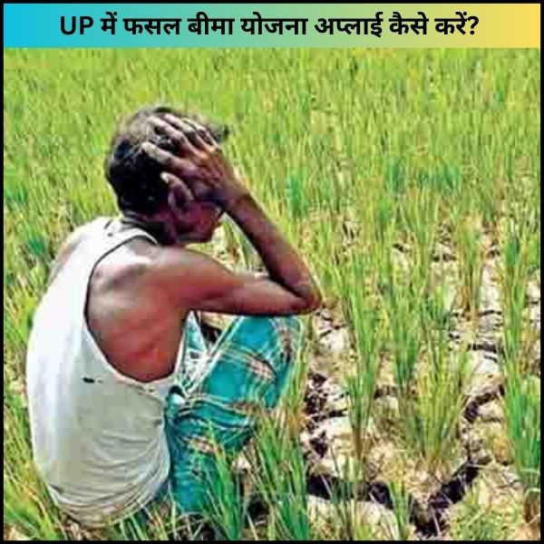 UP में फसल बीमा योजना अप्लाई कैसे करें – पूरी जानकारी 2025 (1)