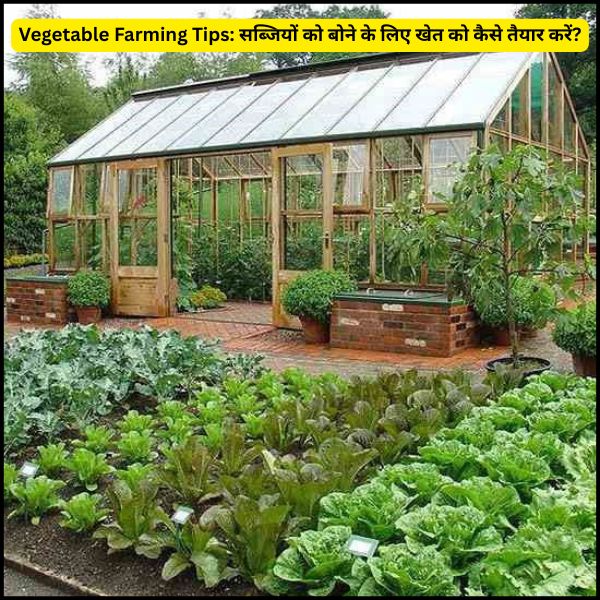 Vegetable Farming Tips सब्जियों को बोने के लिए खेत को कैसे तैयार करें (2) Vegetable Farming Tips सब्जियों को बोने के लिए खेत को कैसे तैयार करें