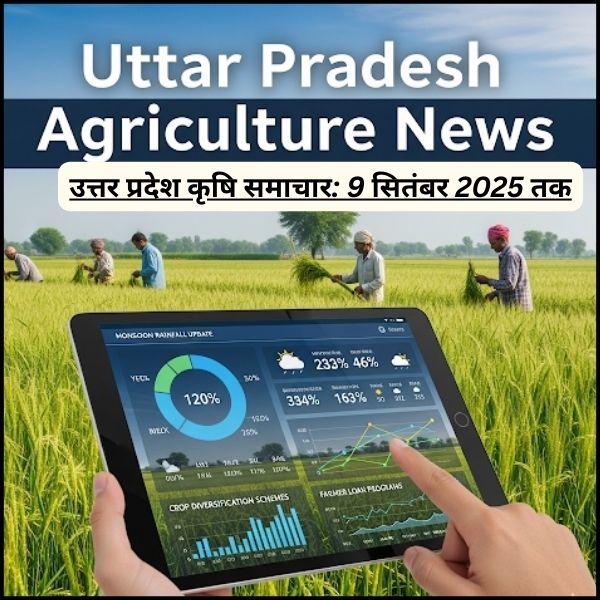उत्तर प्रदेश कृषि समाचार 9 सितंबर 2025 तक