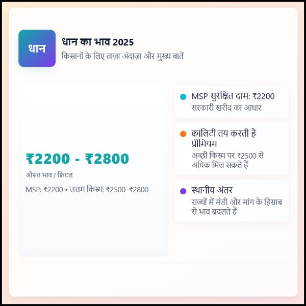 किसान भाइयों क्या आपको पता है कि धान का भाव 2025 में कितना चल रहा है (2)
