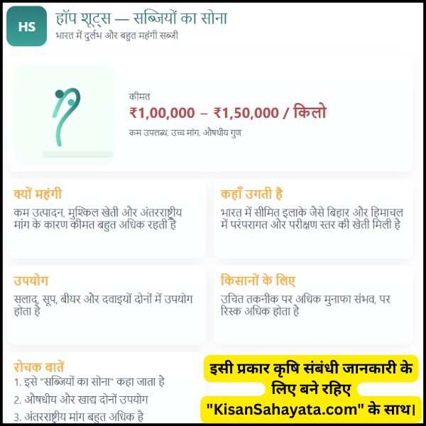 भारत की सबसे महंगी सब्जी कौन सी है भारत की सबसे महंगी सब्जी कौन सी है
