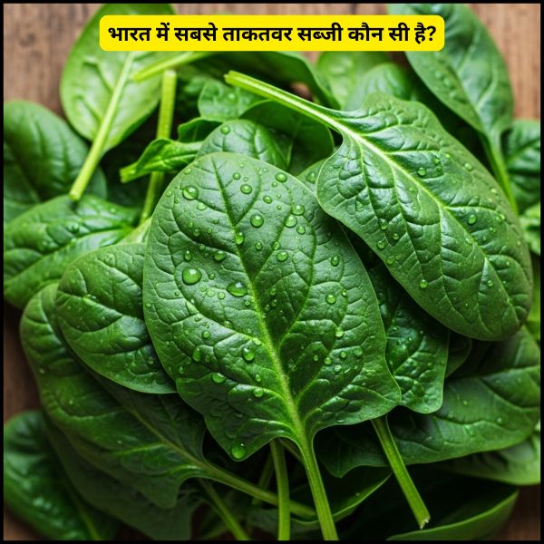 भारत में सबसे ताकतवर सब्जी कौन सी है