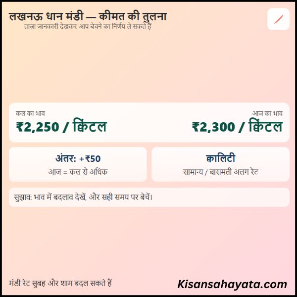 लखनऊ धान मंडी भाव आज और कल का अंतर क्या है