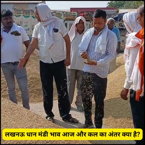 लखनऊ धान मंडी भाव आज और कल का अंतर क्या है (2) लखनऊ धान मंडी भाव आज और कल का अंतर क्या है