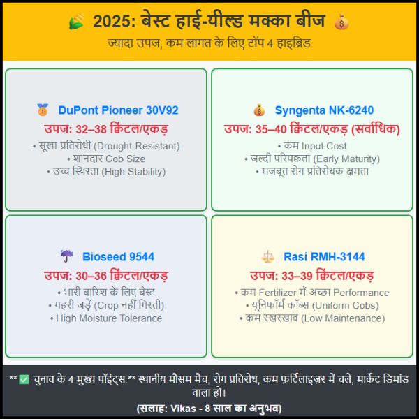 2025 में भारत के लिए Best High-Yield Corn Seeds ज्यादा उपज, कम लागत