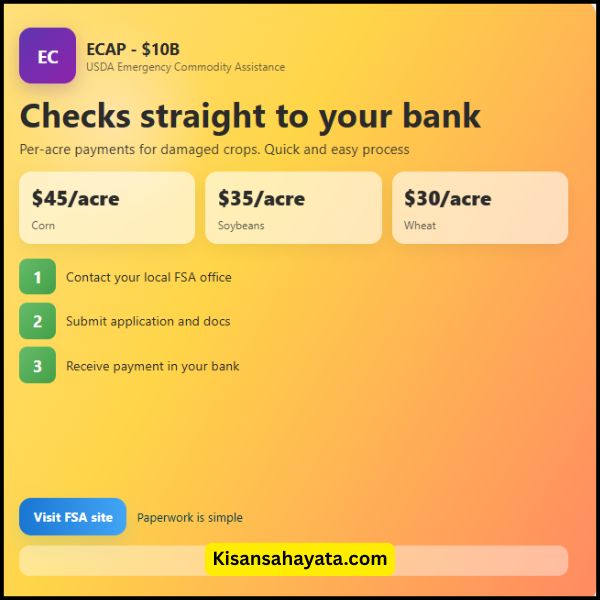 Yo, My Buddy Mike Just Got His First ECAP Check—Here’s the Real Tea on USDA’s $10 Billion Free Money Drop