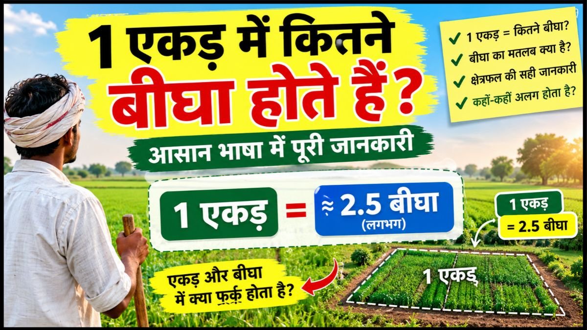 1 एकड़ में कितने बीघा होते हैं आसान भाषा में पूरी जानकारी