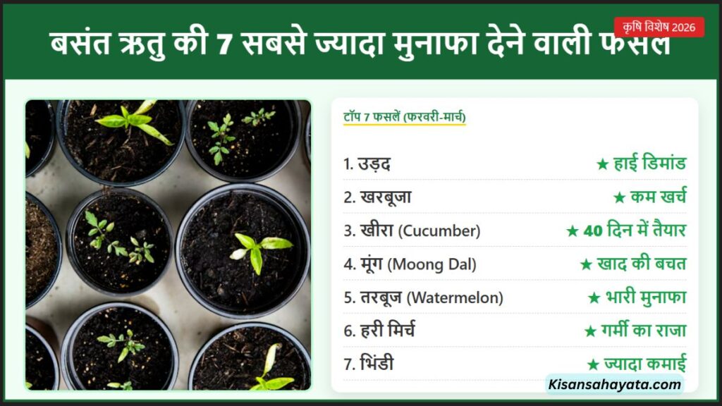 बसंत ऋतु में सबसे ज्यादा मुनाफा देने वाली 7 फसलें