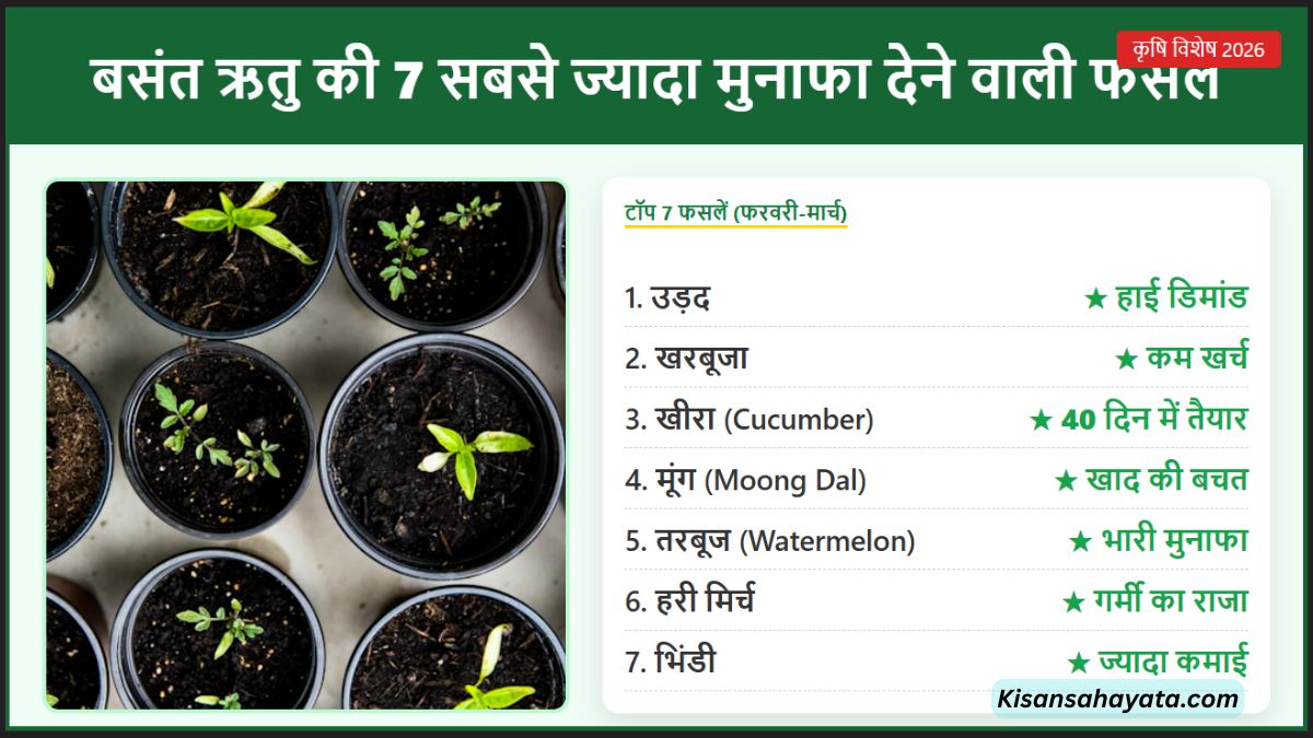 बसंत ऋतु में सबसे ज्यादा मुनाफा देने वाली 7 फसलें