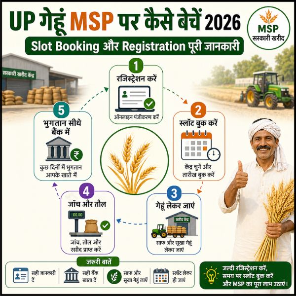 UP गेहूं MSP पर कैसे बेचें 2026 — Slot Booking और Registration पूरी जानकारी