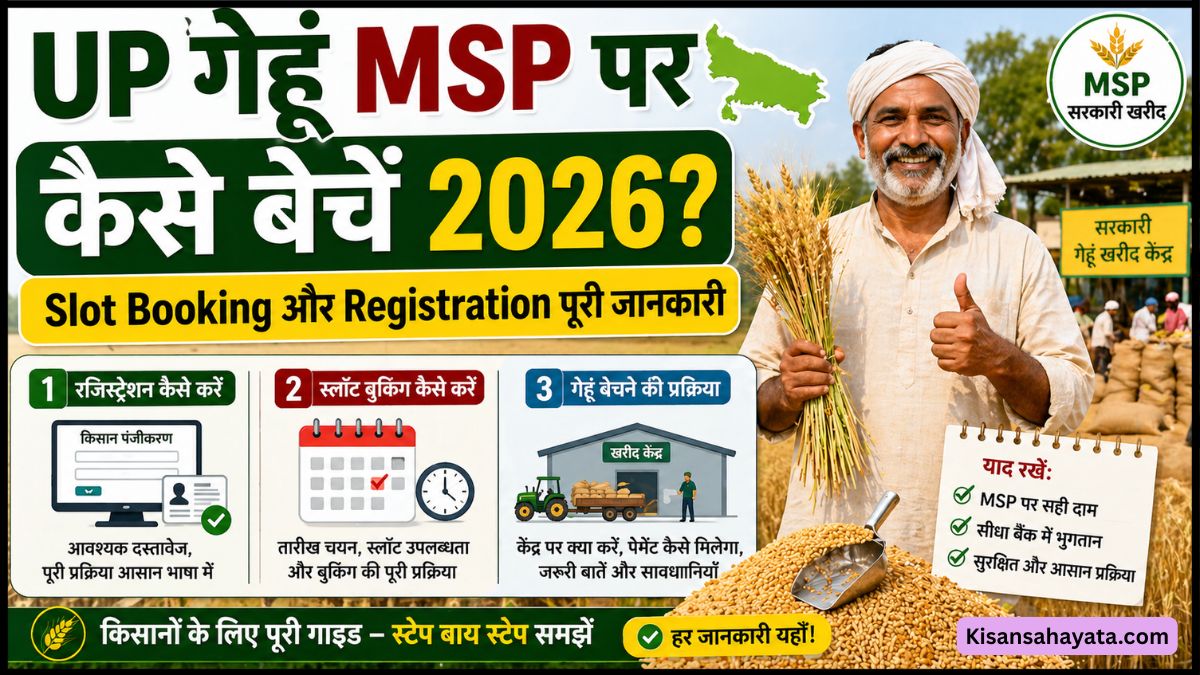 UP गेहूं MSP पर कैसे बेचें 2026 — Slot Booking और Registration पूरी जानकारी