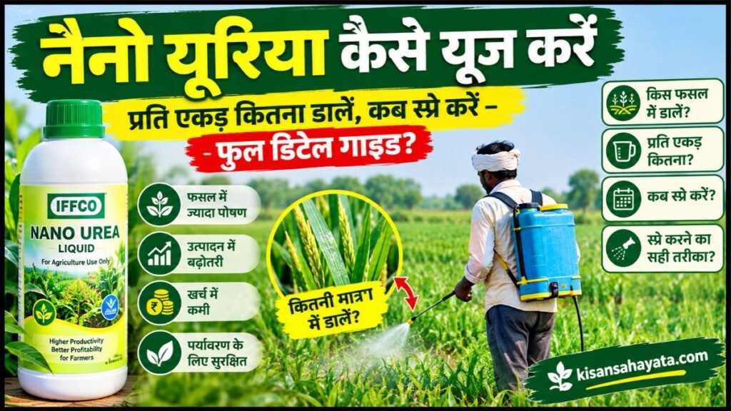 नैनो यूरिया कैसे यूज करें: प्रति एकड़ कितना डालें, कब स्प्रे करें – फुल डिटेल गाइड?